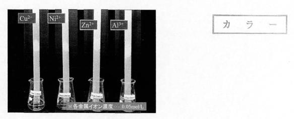 2020134499-疎水コロイドを用いた金属イオン濃度の簡易測定方法 図000029