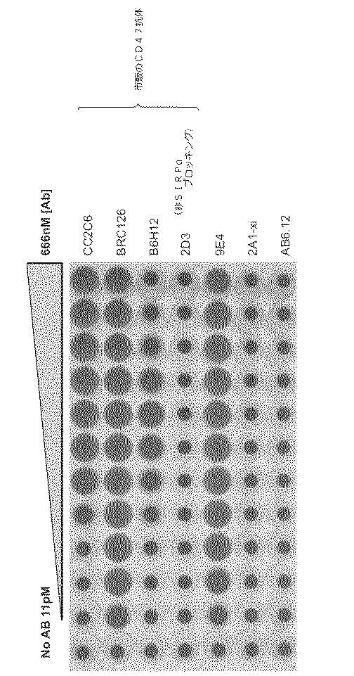 2018177813-血小板非減少性かつ赤血球非減少性ＣＤ４７抗体及びその使用方法 図000030