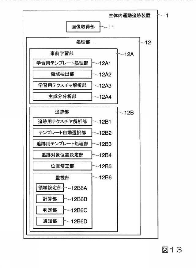 2019033960-生体内運動追跡装置、生体内運動追跡方法およびプログラム 図000030