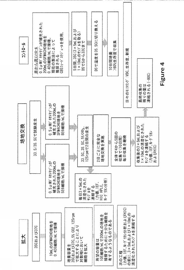 2020073503-タンパク質産生方法 図000030