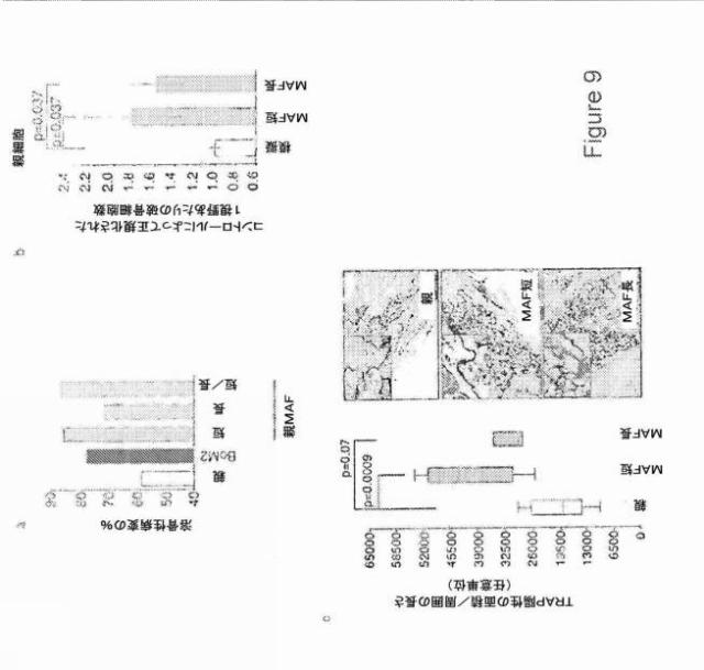 2021007408-がん転移の予後診断および処置のための方法 図000030