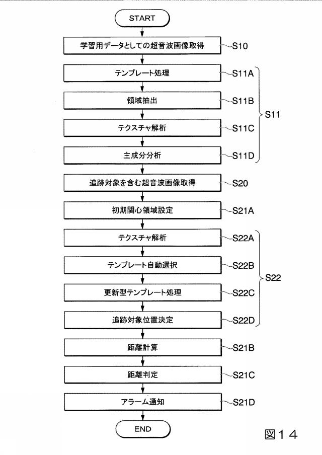 2019033960-生体内運動追跡装置、生体内運動追跡方法およびプログラム 図000031
