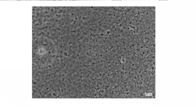 2019181182-化学剤の除染方法及び生物剤の除染方法 図000031