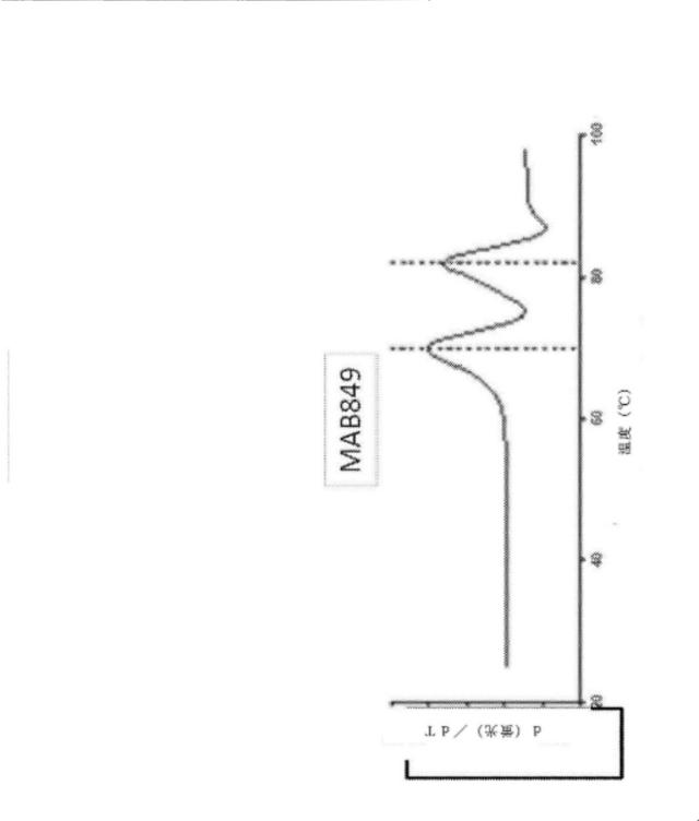 2020096618-インフルエンザ受動免疫に有用な抗体ならびにその使用のための組成物、組合せおよび方法 図000031