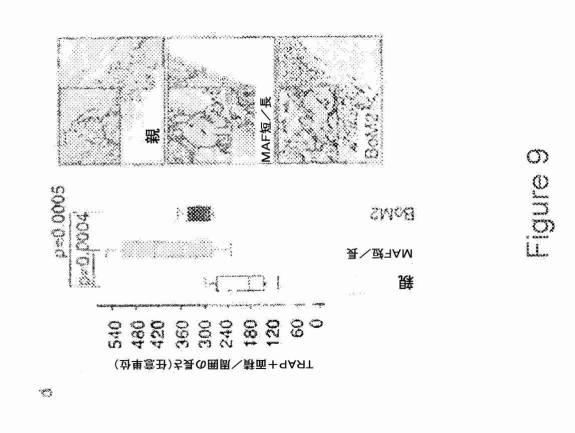 2021007408-がん転移の予後診断および処置のための方法 図000031