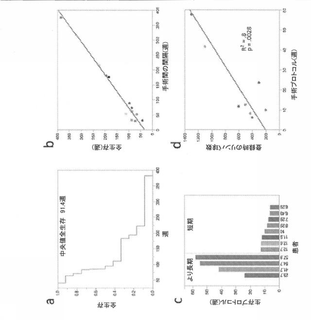 2021193143-免疫調節性Ｍ２単球を選択的に低減することによってがんを治療し、治療的免疫を増強するための方法および組成物 図000031