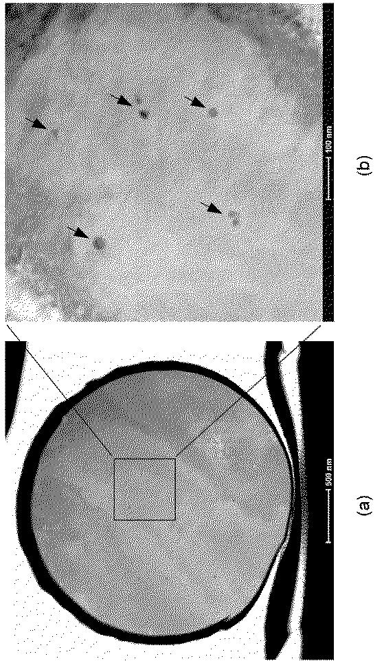 2015193904-粉末冶金用金属粉末、コンパウンド、造粒粉末、焼結体および焼結体の製造方法 図000033