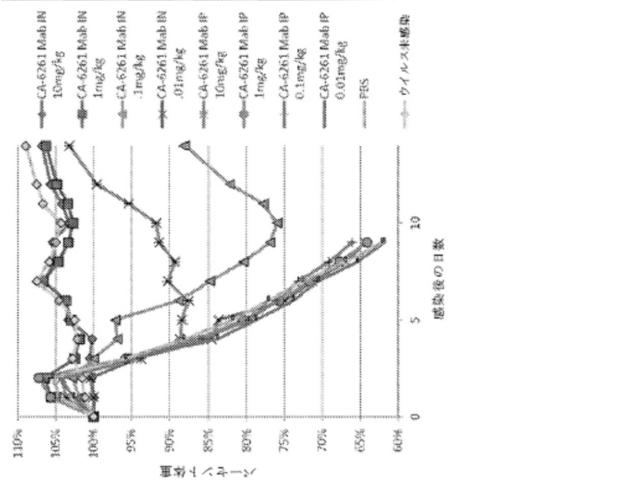 2020096618-インフルエンザ受動免疫に有用な抗体ならびにその使用のための組成物、組合せおよび方法 図000033