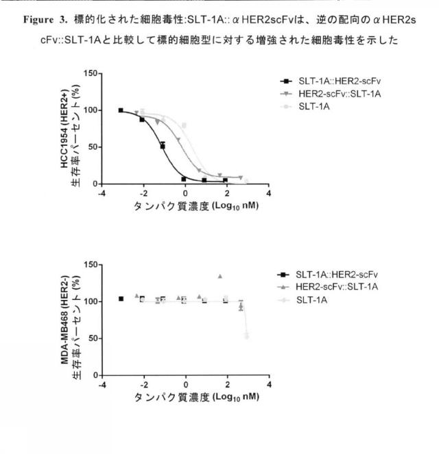 2020089385-アミノ末端の近位にある志賀毒素Ａサブユニットエフェクター領域及び細胞標的化免疫グロブリン型結合領域を含むタンパク質 図000034