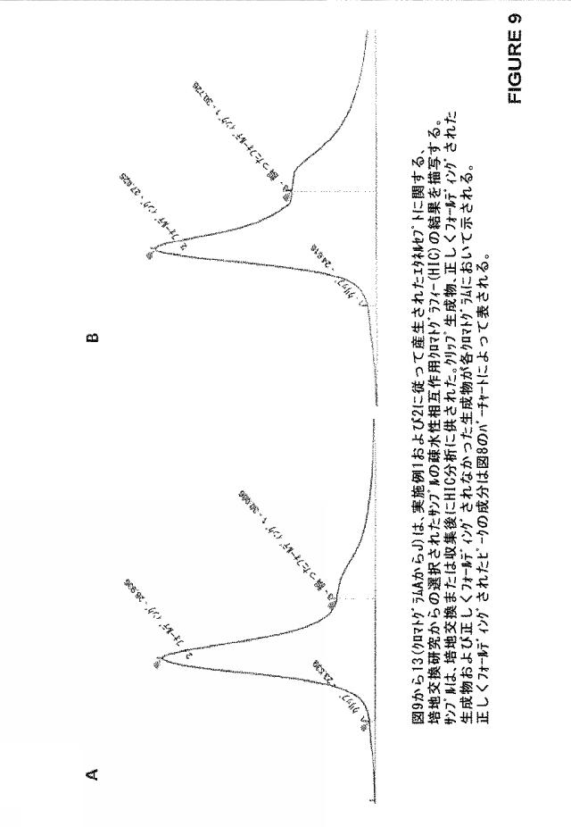 2020073503-タンパク質産生方法 図000035