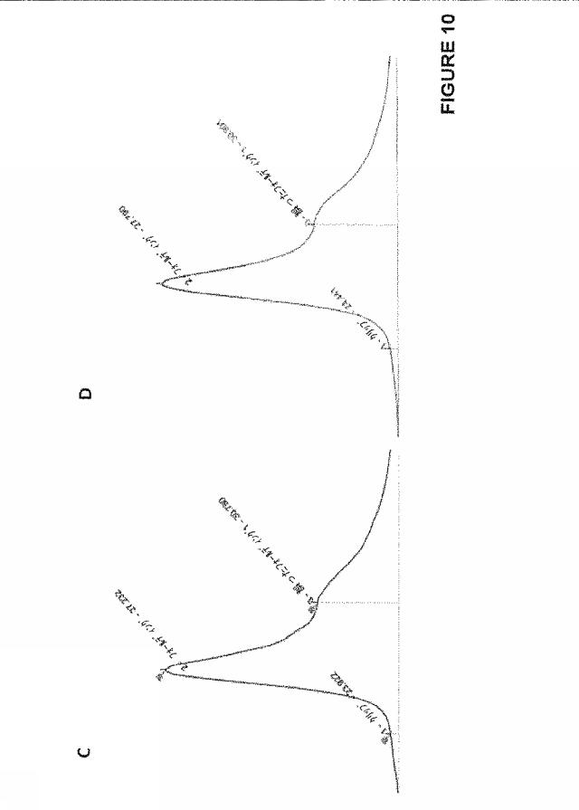 2020073503-タンパク質産生方法 図000036