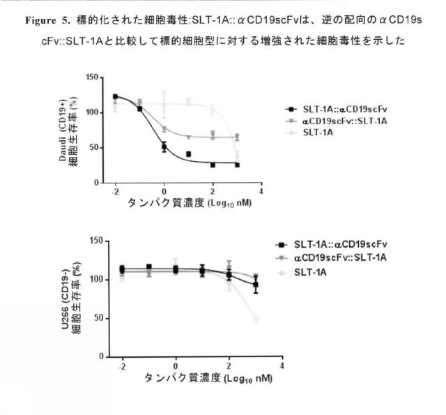 2020089385-アミノ末端の近位にある志賀毒素Ａサブユニットエフェクター領域及び細胞標的化免疫グロブリン型結合領域を含むタンパク質 図000036