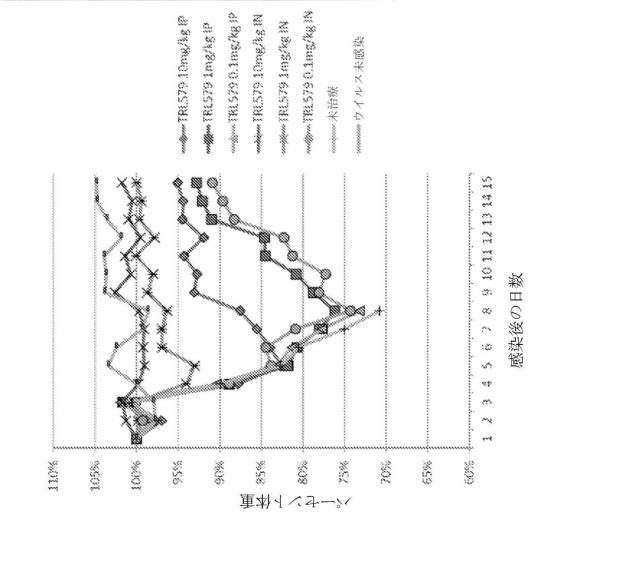 2020096618-インフルエンザ受動免疫に有用な抗体ならびにその使用のための組成物、組合せおよび方法 図000036