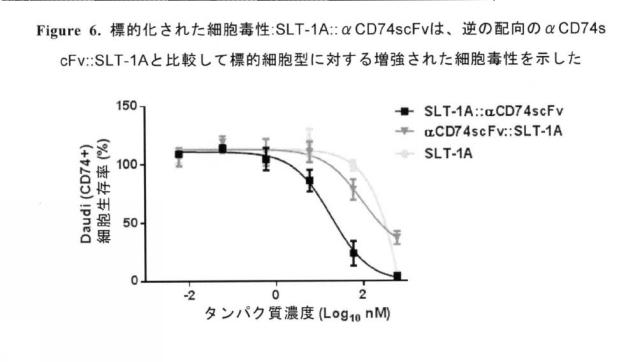 2020089385-アミノ末端の近位にある志賀毒素Ａサブユニットエフェクター領域及び細胞標的化免疫グロブリン型結合領域を含むタンパク質 図000037