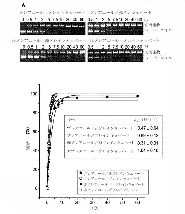 2018138054-ＲＮＡ依存性標的ＤＮＡ修飾およびＲＮＡ依存性転写調節のための方法および組成物 図000038