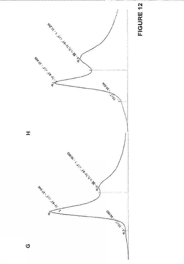 2020073503-タンパク質産生方法 図000038