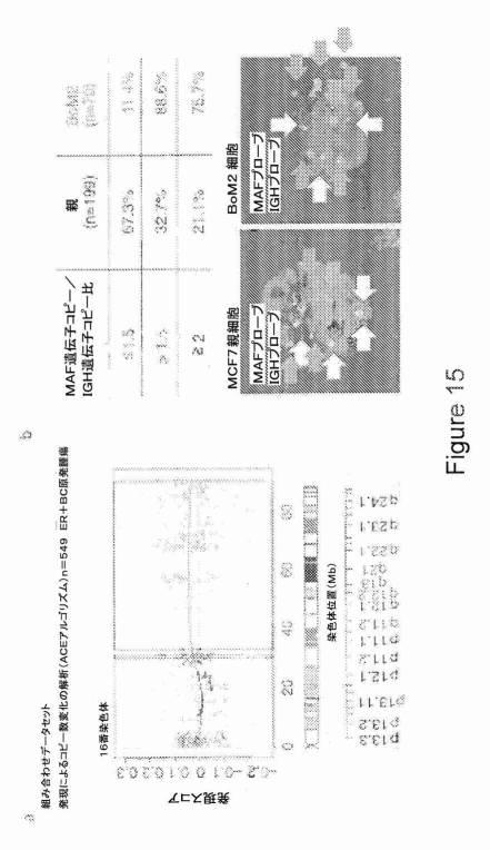 2021007408-がん転移の予後診断および処置のための方法 図000038