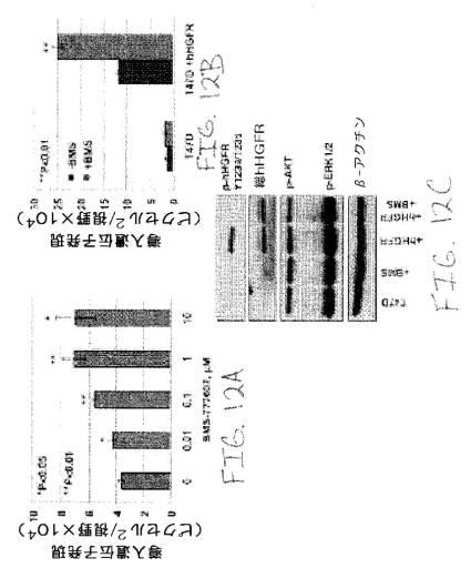 2020048571-キャプシド修飾ｒＡＡＶ３ベクター組成物およびヒト肝がんの遺伝子治療における使用方法 図000039