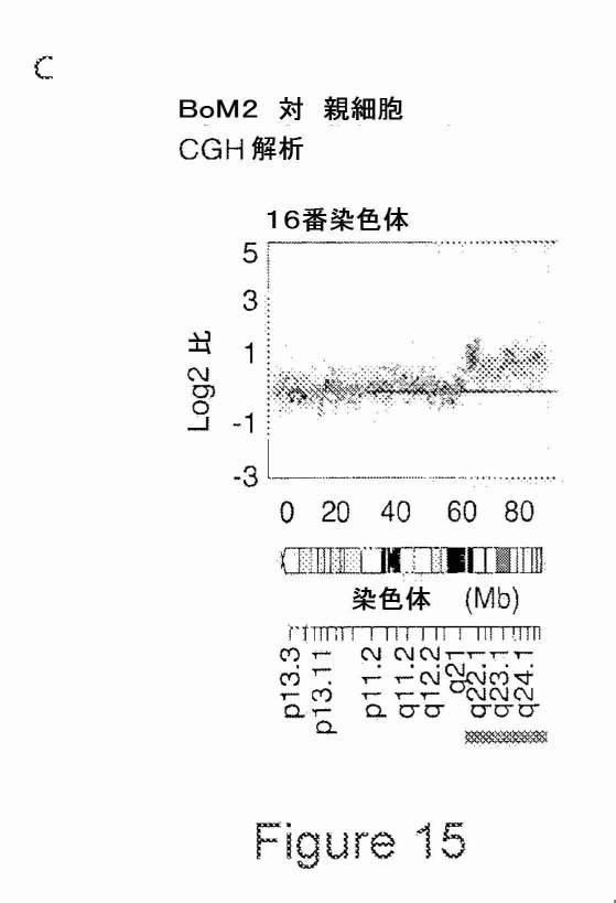 2021007408-がん転移の予後診断および処置のための方法 図000039