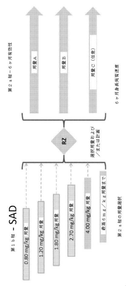 2017101074-ヒト成長ホルモン類似体を用いた小児成長ホルモン分泌不全症の治療 図000040