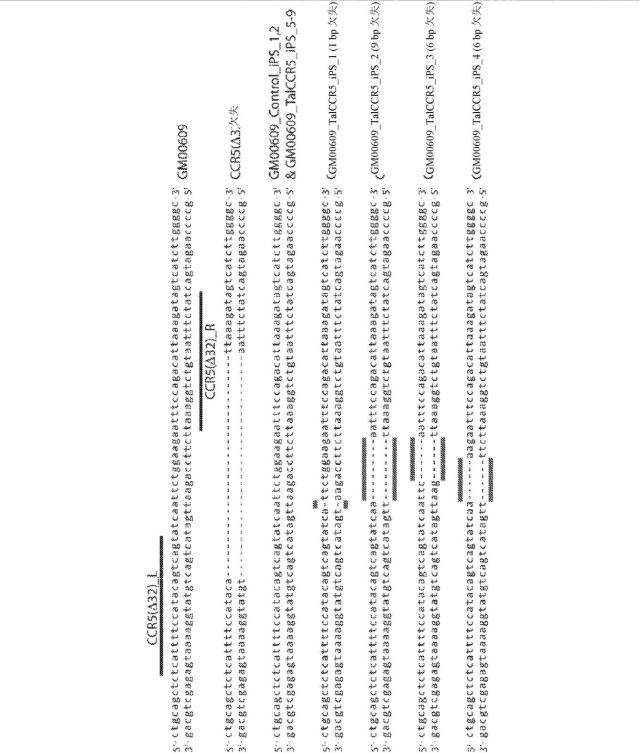 2018113985-細胞中でタンパク質を発現するための方法および生成物 図000043