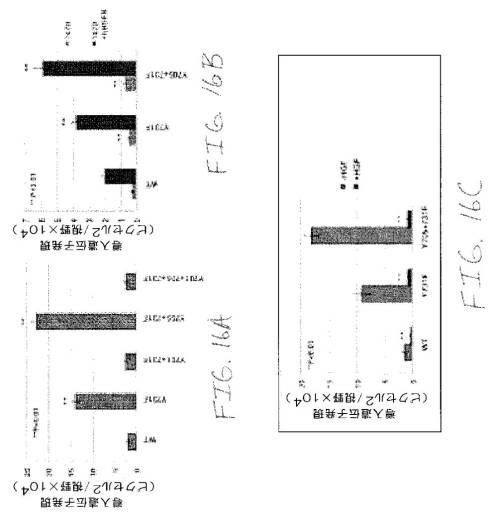 2020048571-キャプシド修飾ｒＡＡＶ３ベクター組成物およびヒト肝がんの遺伝子治療における使用方法 図000043