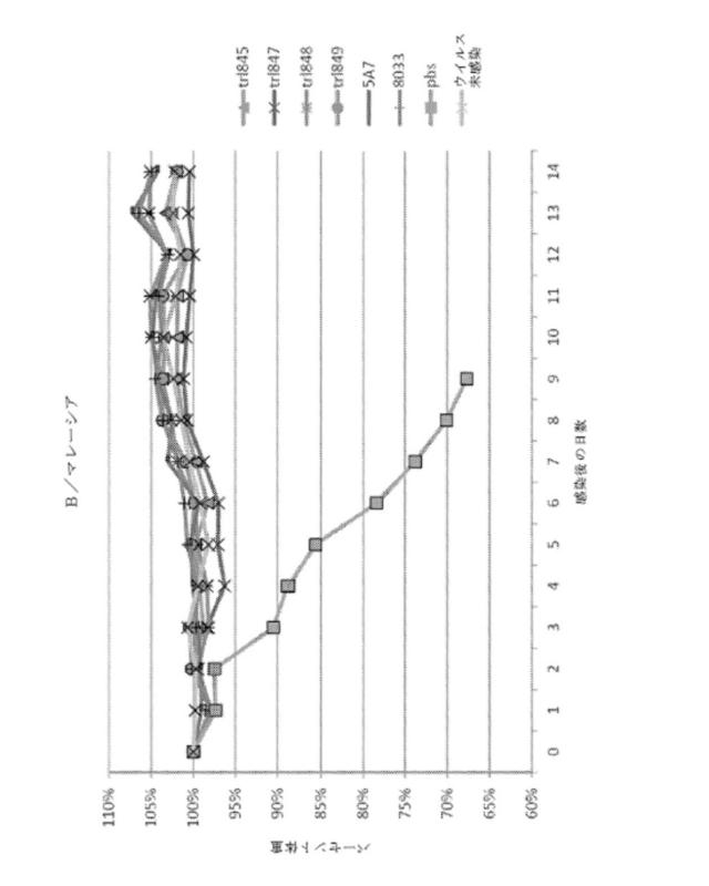2020096618-インフルエンザ受動免疫に有用な抗体ならびにその使用のための組成物、組合せおよび方法 図000044