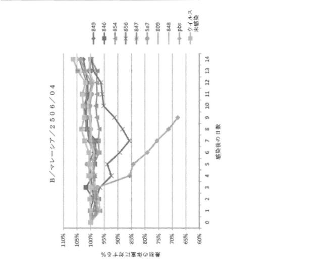 2020096618-インフルエンザ受動免疫に有用な抗体ならびにその使用のための組成物、組合せおよび方法 図000045