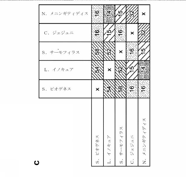 2018138054-ＲＮＡ依存性標的ＤＮＡ修飾およびＲＮＡ依存性転写調節のための方法および組成物 図000046