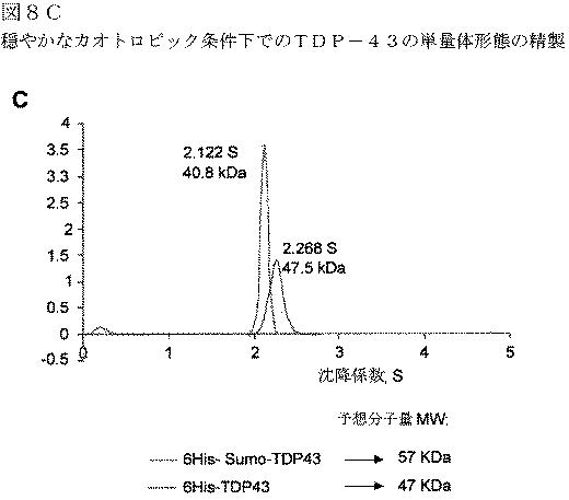 2019022500-ＴＤＰ−４３に特異的な結合分子 図000046