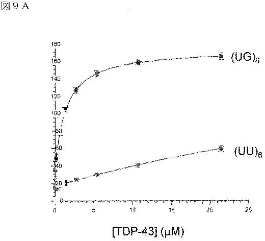 2019022500-ＴＤＰ−４３に特異的な結合分子 図000047