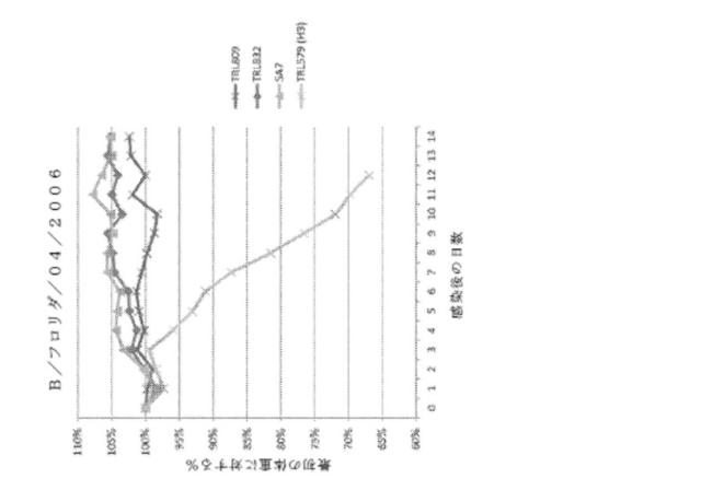 2020096618-インフルエンザ受動免疫に有用な抗体ならびにその使用のための組成物、組合せおよび方法 図000047