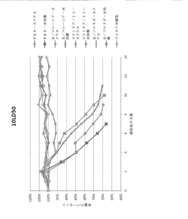 2020096618-インフルエンザ受動免疫に有用な抗体ならびにその使用のための組成物、組合せおよび方法 図000048
