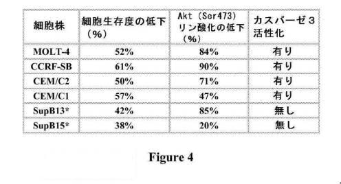 2016222700-血液学的な悪性疾患のための併用療法 図000049