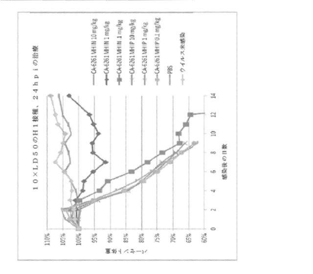 2020096618-インフルエンザ受動免疫に有用な抗体ならびにその使用のための組成物、組合せおよび方法 図000050