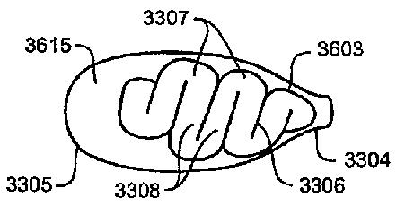 2019213869-鼻カニューレ、導管及び固定システム 図000051