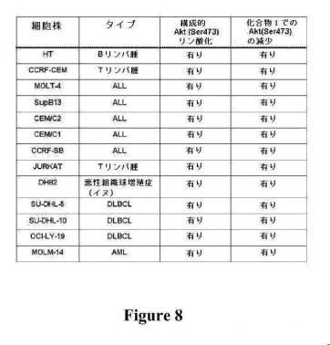 2016222700-血液学的な悪性疾患のための併用療法 図000053