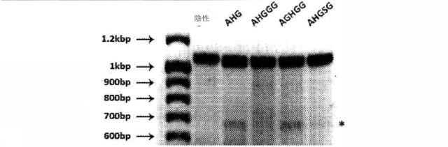 2018113985-細胞中でタンパク質を発現するための方法および生成物 図000053