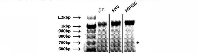 2018113985-細胞中でタンパク質を発現するための方法および生成物 図000054