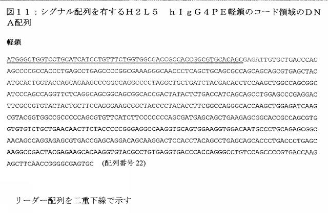 2020079252-アゴニスト性ＩＣＯＳ結合タンパク質 図000054