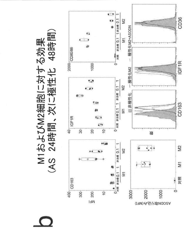 2021193143-免疫調節性Ｍ２単球を選択的に低減することによってがんを治療し、治療的免疫を増強するための方法および組成物 図000054