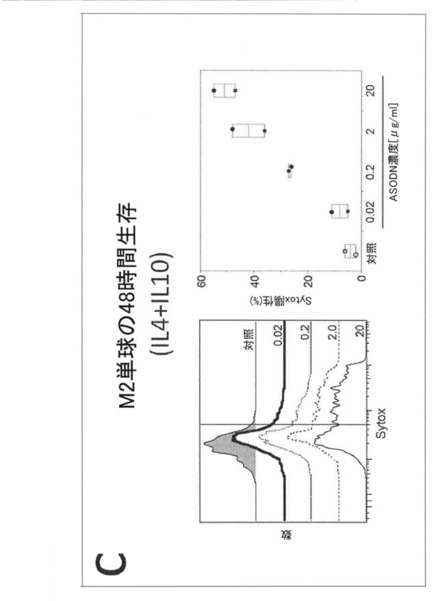 2021193143-免疫調節性Ｍ２単球を選択的に低減することによってがんを治療し、治療的免疫を増強するための方法および組成物 図000055