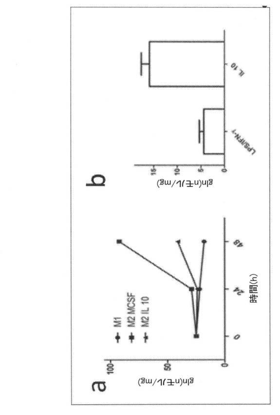 2021193143-免疫調節性Ｍ２単球を選択的に低減することによってがんを治療し、治療的免疫を増強するための方法および組成物 図000058