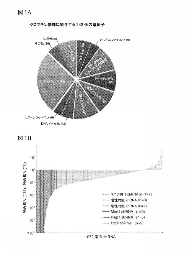 2016102105-白血病を治療するための組成物および方法 図000060