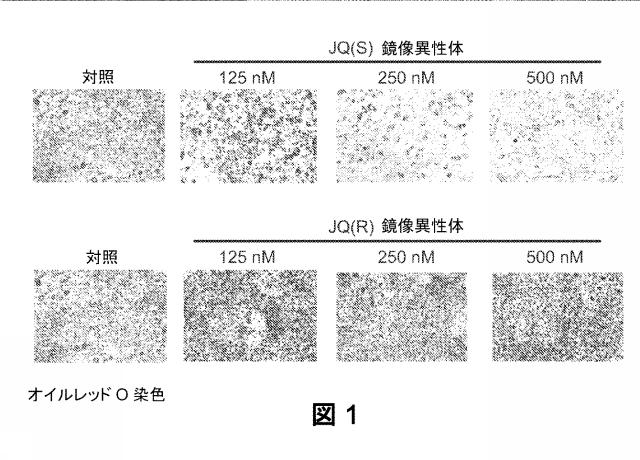 2017197575-代謝を調節する組成物および方法 図000060