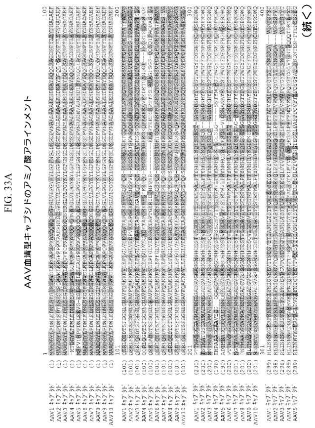 2020048571-キャプシド修飾ｒＡＡＶ３ベクター組成物およびヒト肝がんの遺伝子治療における使用方法 図000060