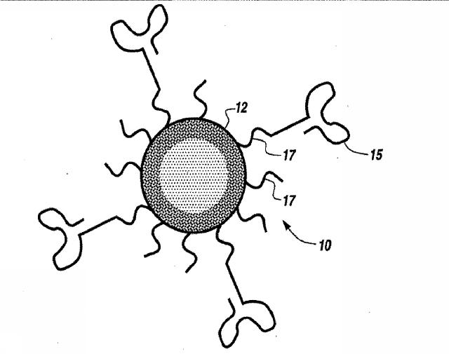 2016041756-薬剤を装填したポリマーナノ粒子及びその製造方法と使用方法 図000061