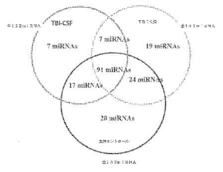 2016105097-ニューロン損傷診断のためのマイクロＲＮＡ、自己抗体およびタンパク質マーカー 図000061