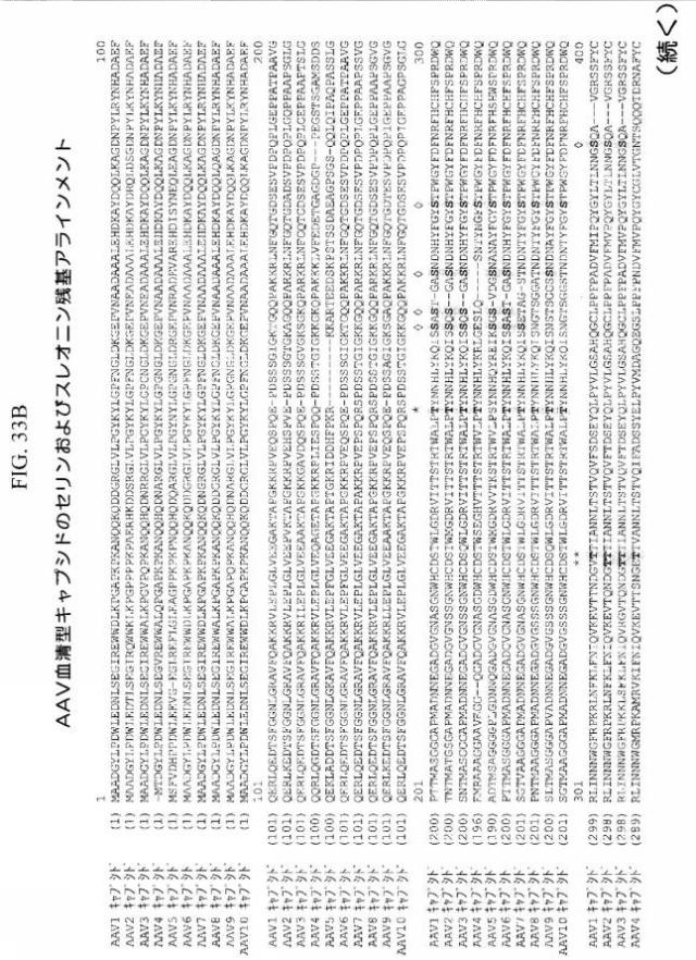 2020048571-キャプシド修飾ｒＡＡＶ３ベクター組成物およびヒト肝がんの遺伝子治療における使用方法 図000062