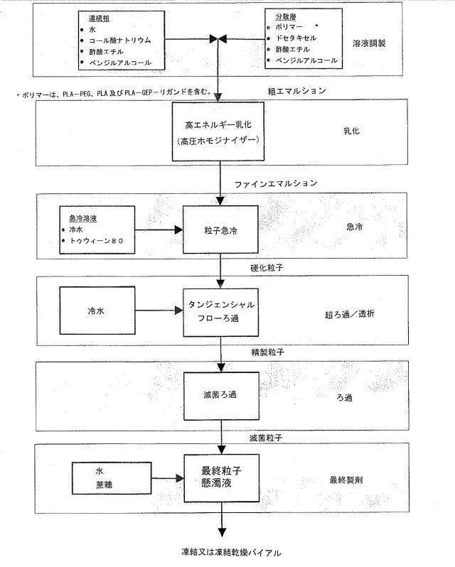 2016041756-薬剤を装填したポリマーナノ粒子及びその製造方法と使用方法 図000063